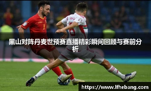 黑山对阵丹麦世预赛直播精彩瞬间回顾与赛前分析